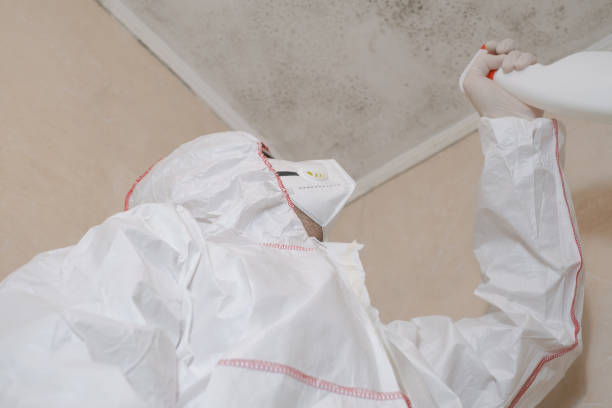 Biohazard Mold Removal in Huntland, TN