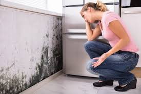 Trusted Huntland, TN Mold Remediation Experts